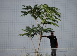 „А“ ОФГ – резултати и класиране в двете подгрупи: