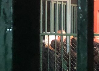 Тодор Неделев пътува към базата на Ботев, за да разговаря с феновете