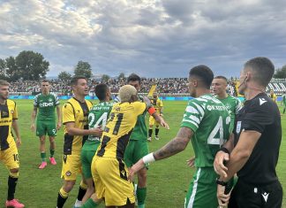 Ще измъкне ли Рафаел Ферейра Ботев Пд от кризата?