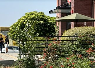 Бразилец е с най-големи шансове да поеме Ботев