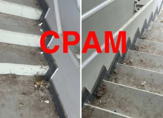 Фенове на Локо към ръководството: Срам!