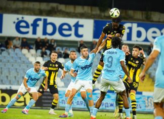 Там закопа канарчетата в Кърджали!