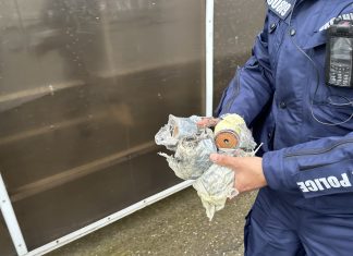 ВИДЕО: Откриха димки с дистанционно на Лаута, сложени в сектора за гости